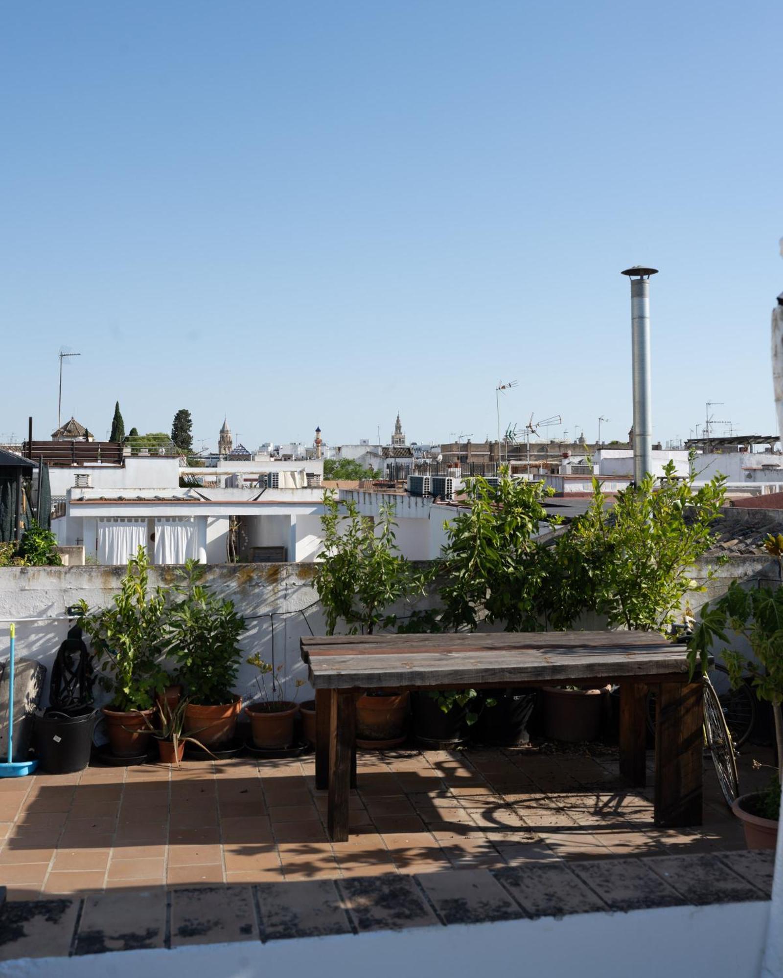 Moderno Y Tranquilo En El Centro Lägenhet Sevilla Exteriör bild